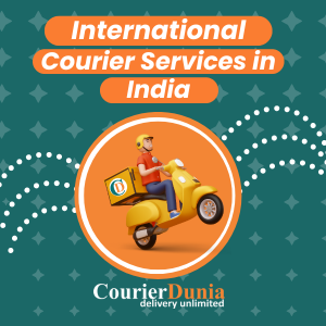 Avatar: International Shipping Services - Courier Dunia