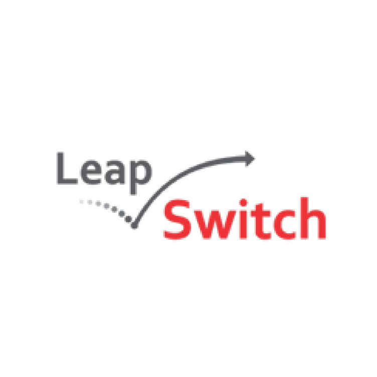 Avatar: LEAPSWITCH NETWORKS