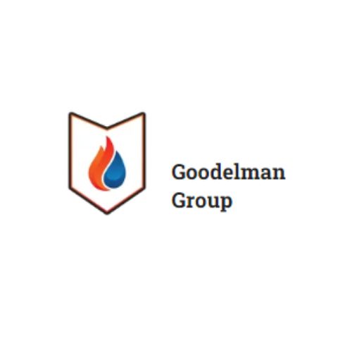 Avatar: Goodelman Group