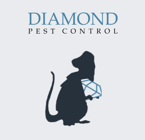 Avatar: Diamond Pest Control