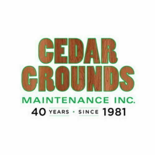 Avatar: Cedar Grounds