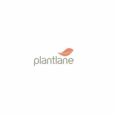 Avatar: Plantlane Retail Private Limited