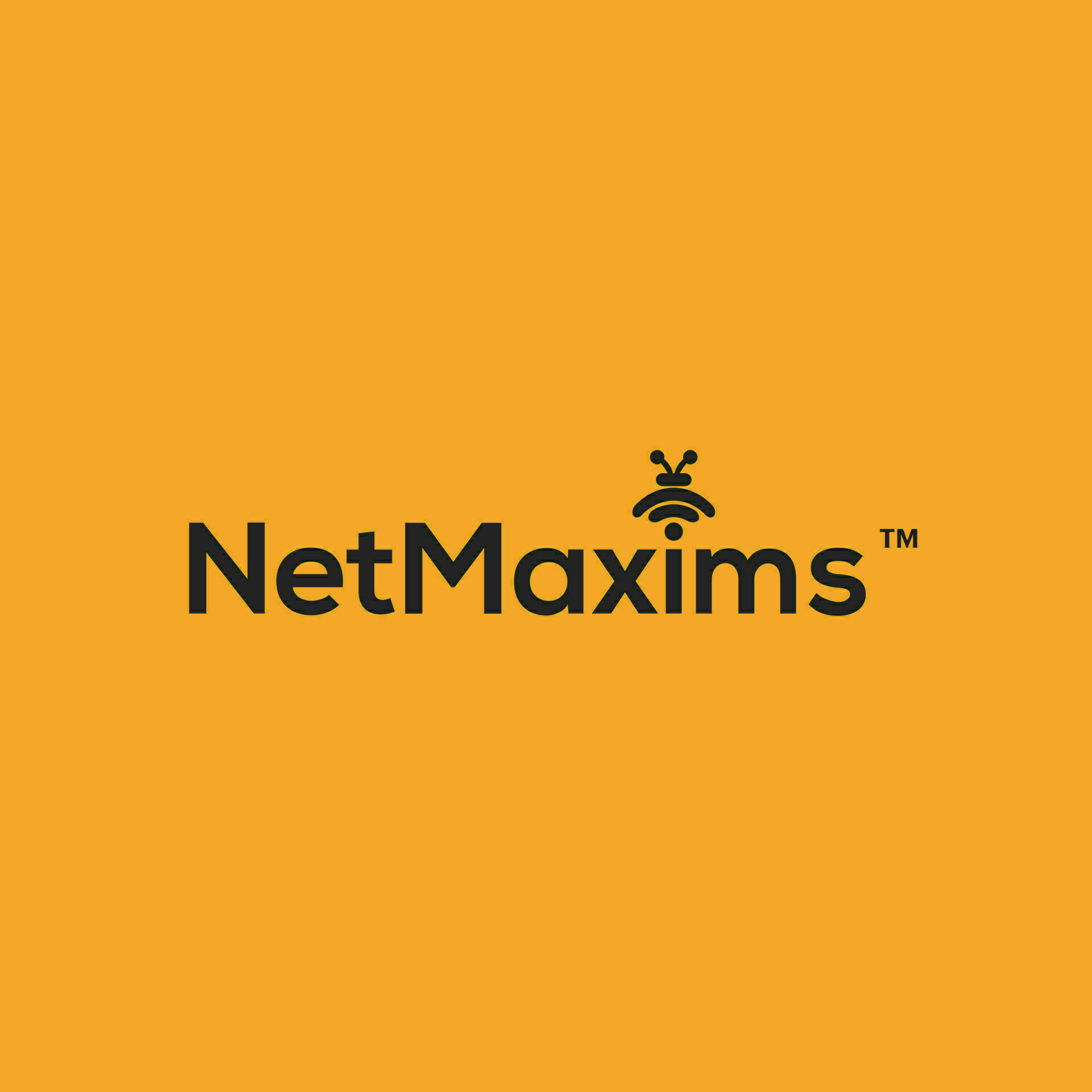 Avatar: Netmaxims Technologies