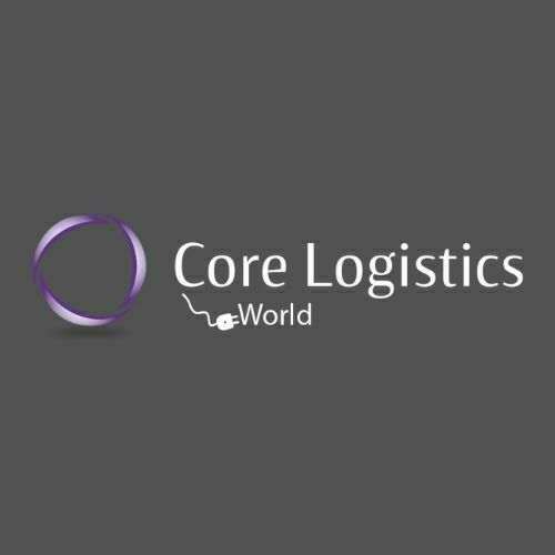 Avatar: Core Logistics International Inc 