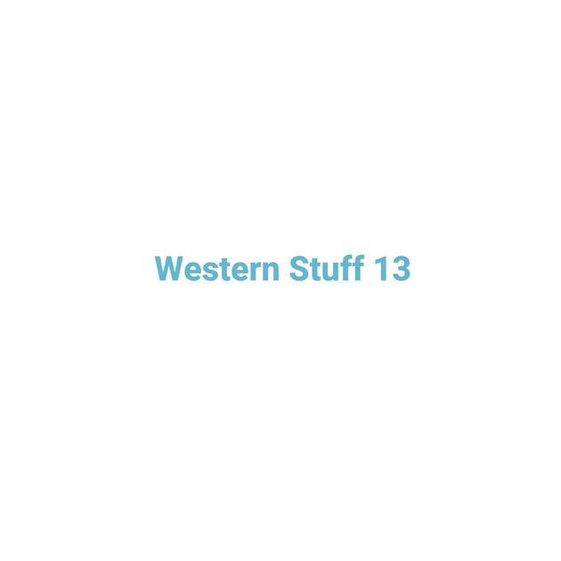 Avatar: Western Stuff13