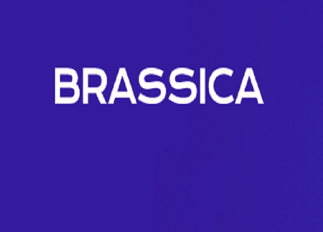 Avatar: Brassica