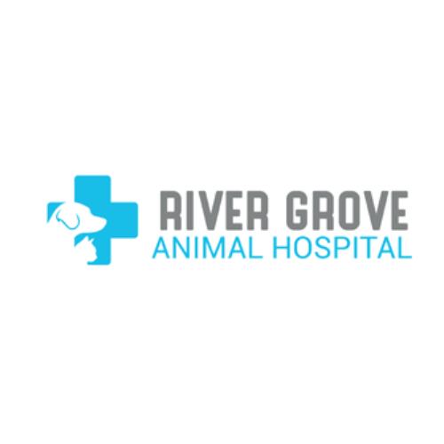 Avatar: rivergrove animalhospital