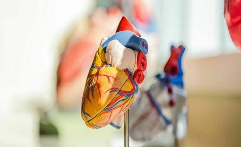 Avatar: Cardiologist Singapore