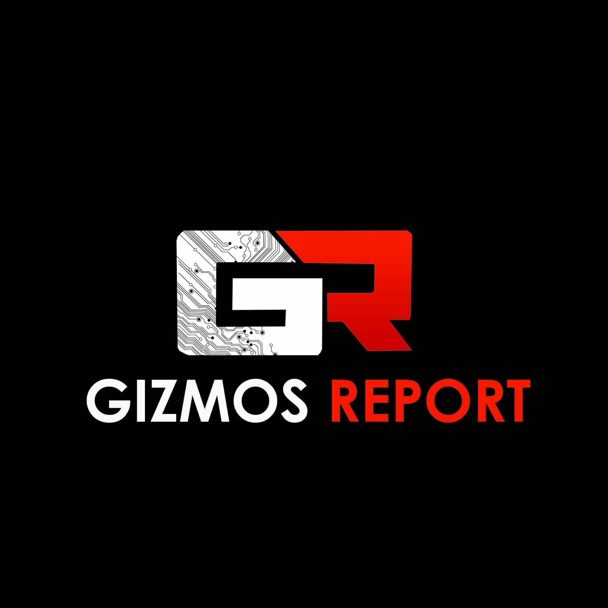 Avatar: Gizmos report