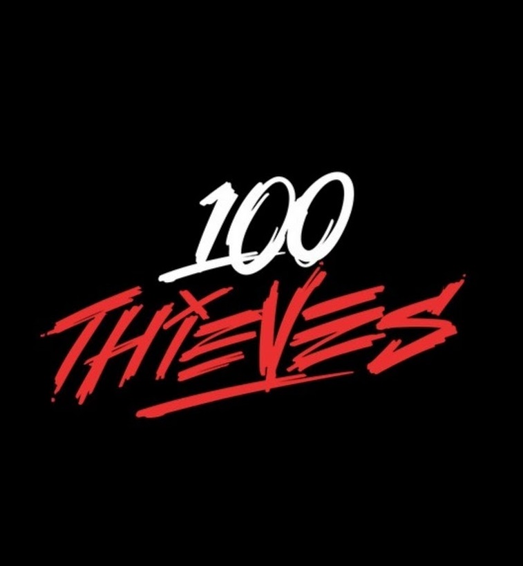 Avatar: 100 Thieves Merch