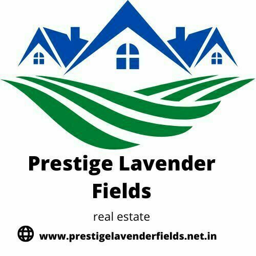 Avatar: Prestige Lavender Fields