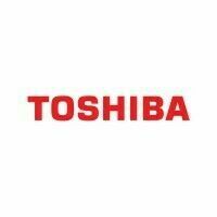 Avatar: Toshiba Business
