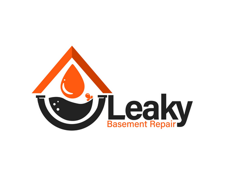 Avatar: Leaky Basement Repair