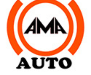 Avatar: Ama auto