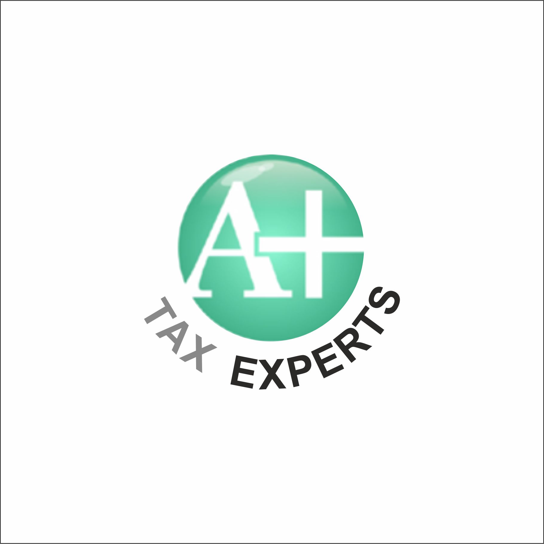 Avatar: A Plus Tax Expert