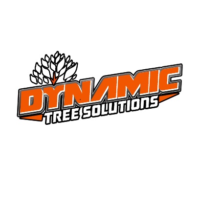 Avatar: Dynamic Tree Solutions