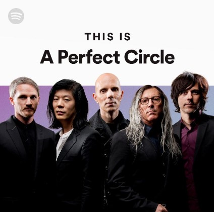 Avatar: A Perfect Circle Merch