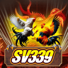 Avatar: dagasv339