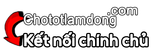 Avatar: chototlamdong.com