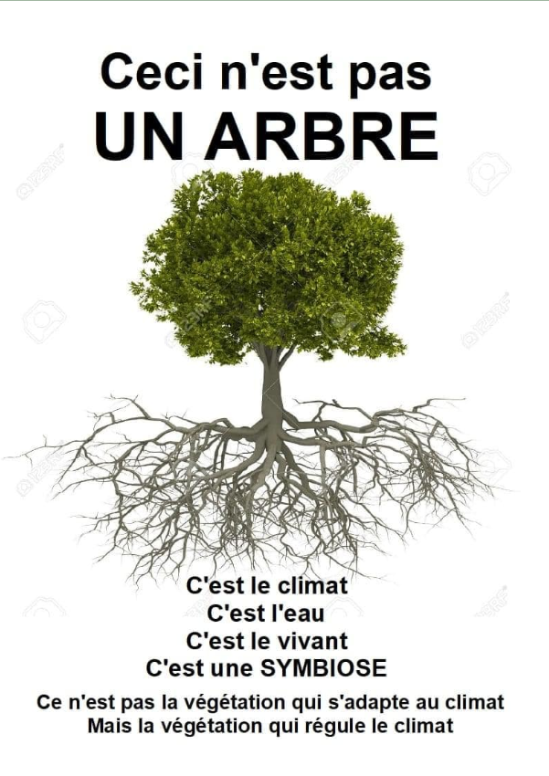 Media picture: Quelle agriculture, quelle forêt?