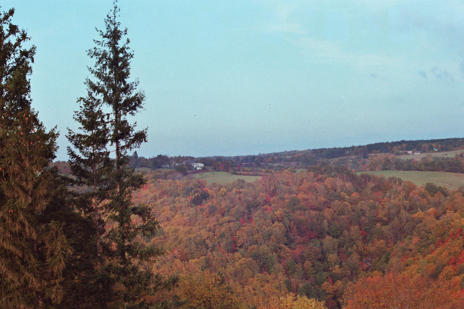 Image média: Tenir compte des bons élèves de l'artificialisation