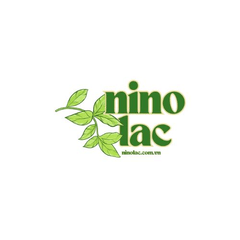 Avatar: ninolaccomvn