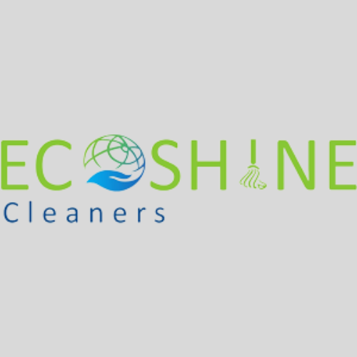 Avatar: ecoshinecleaners