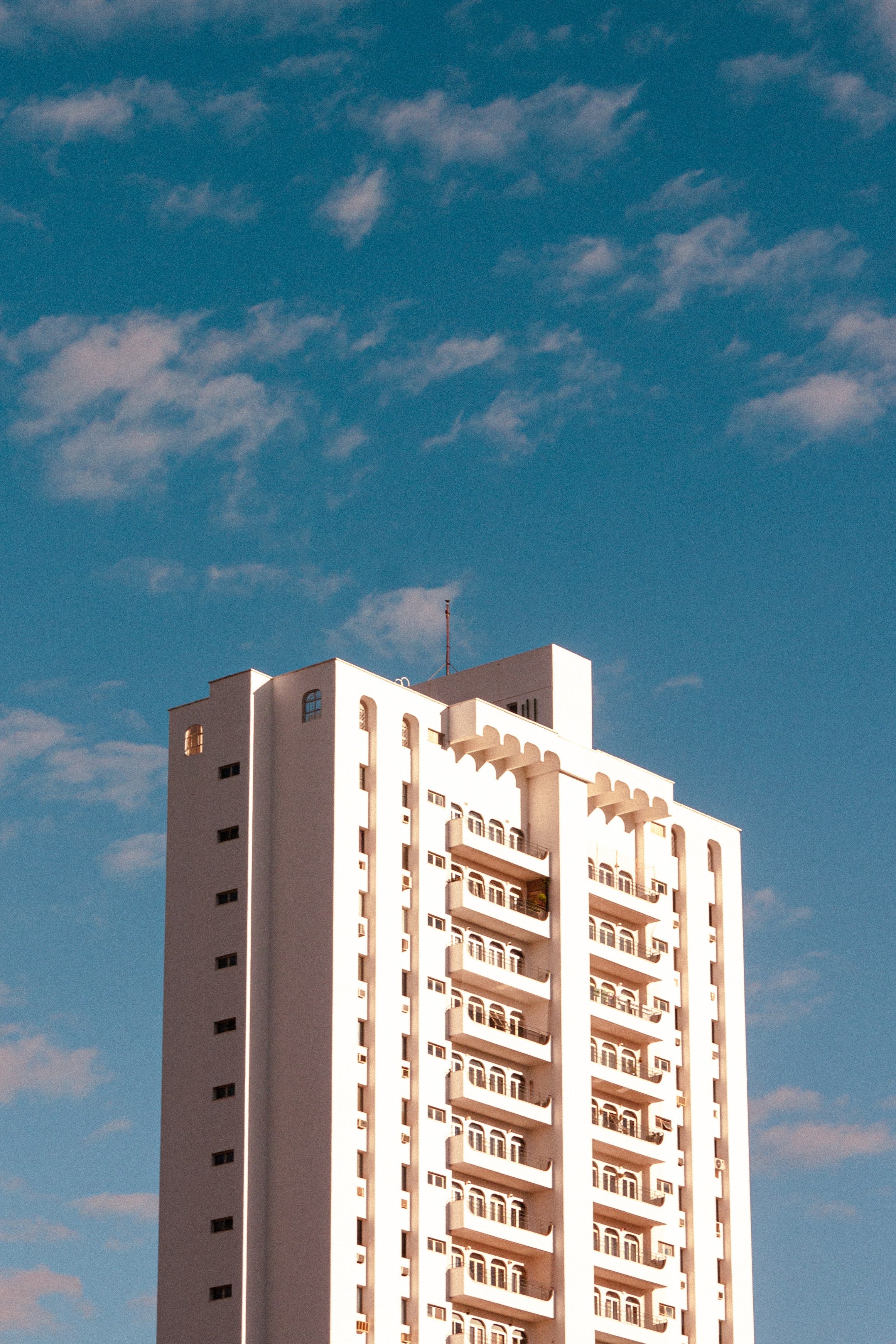 Avatar: Prestige Pine Forest