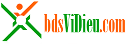 Avatar: bdsvidieu