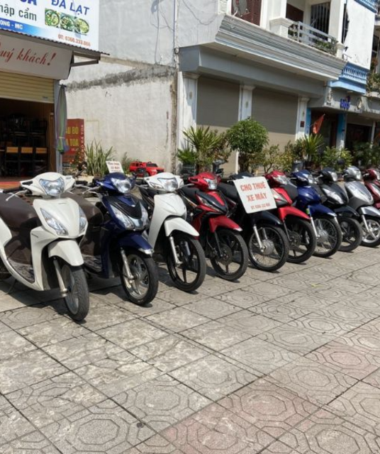 avatar tthuexehalong