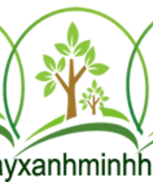 avatar cayxanhminhhieu