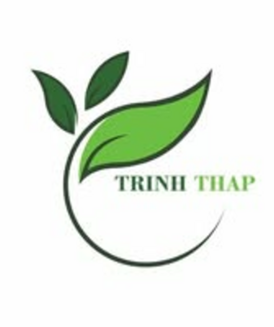 avatar caycanhtrinhthap