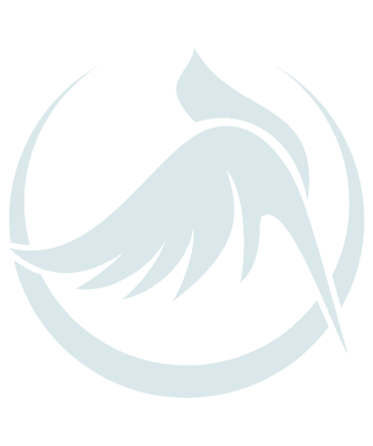 avatar chimcanhquytran