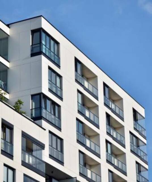 avatar Century Trails