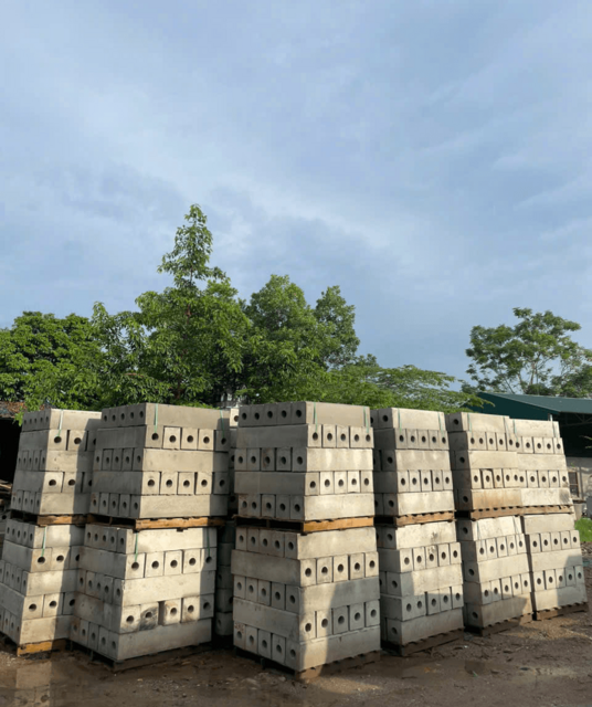 avatar betongnguyenhuy